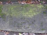 image of grave number 141250